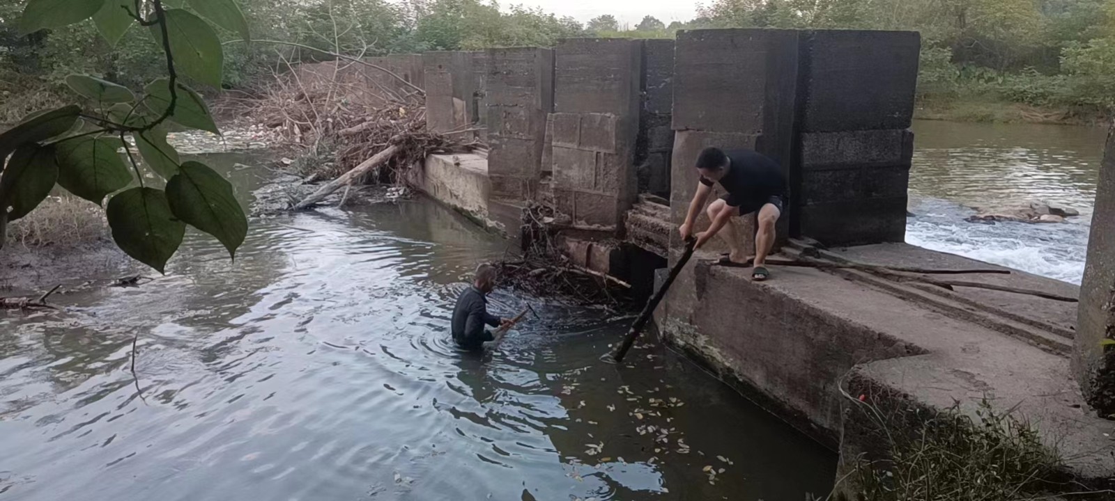 白水镇：护河保洁常态化 水清河畅景色美