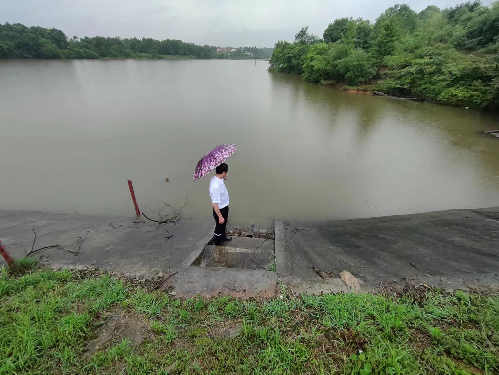 罗江镇：最大降雨量也冲不垮党员干部筑起的“责任堤”