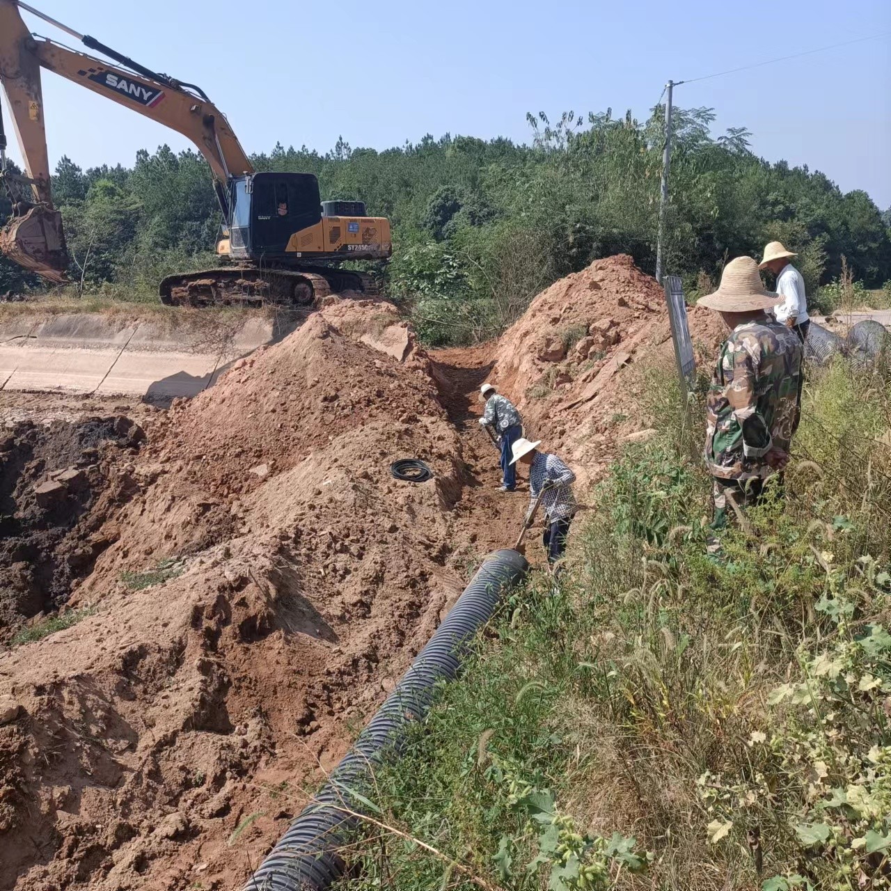 罗江镇托头岭村：村级投料群众投劳，全民共治黑臭水体