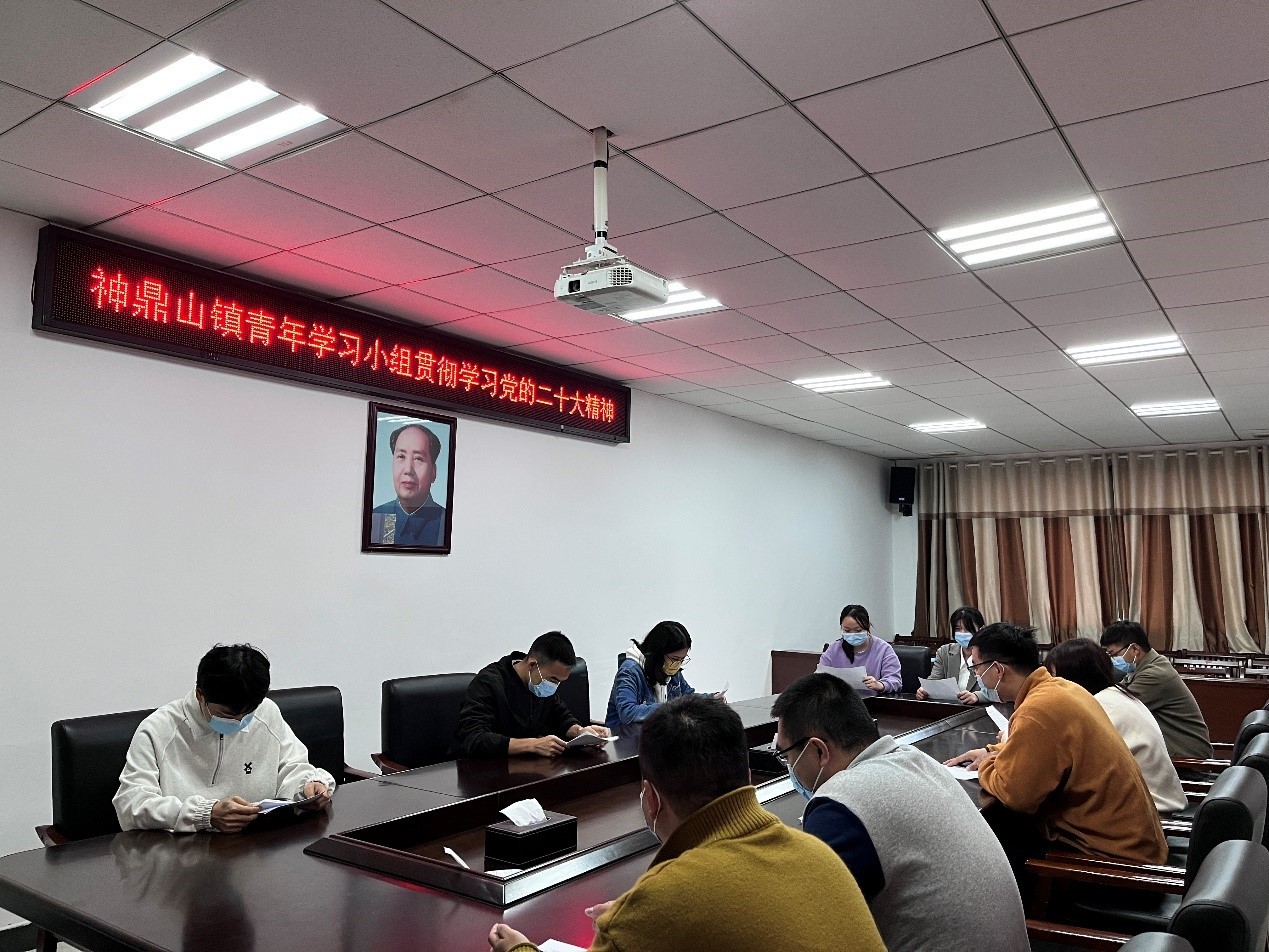 神鼎山镇青年之声：听党话、跟党走， 在火热实践中绽放绚丽之花