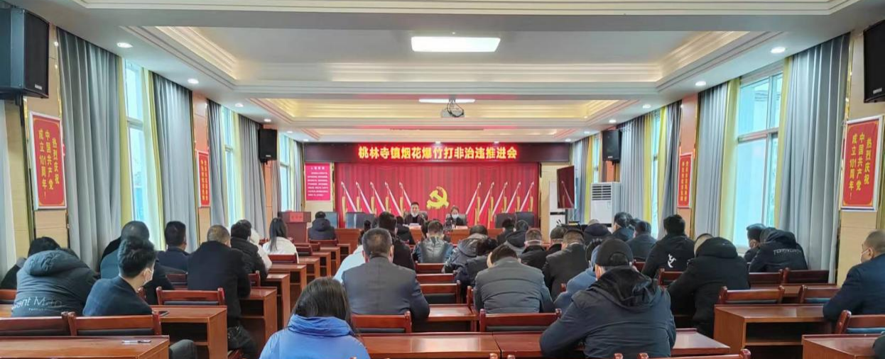 桃林寺镇开展烟花爆竹“打非治违”  专项整治行动