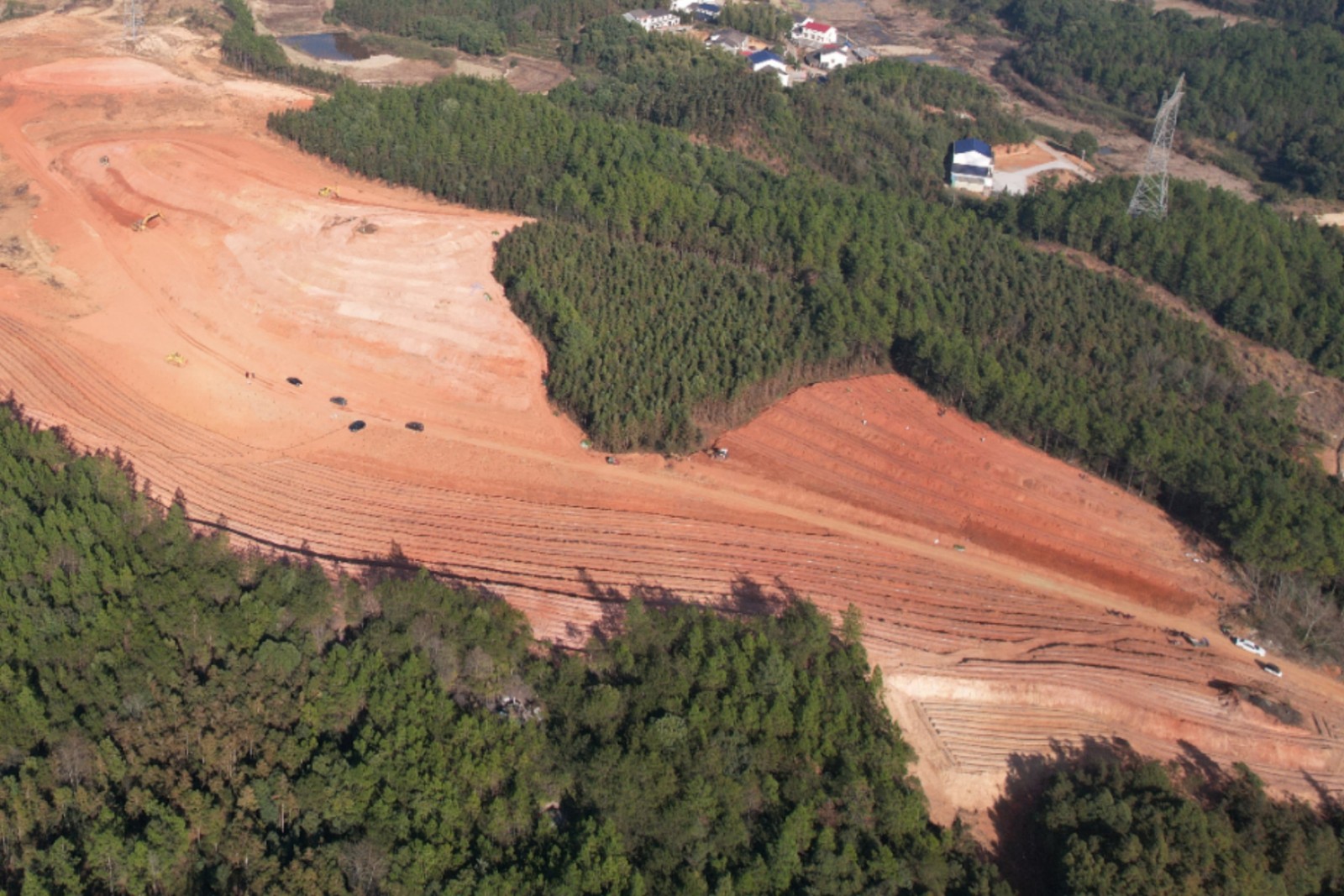 罗江镇山秀村：种植油茶添“新绿”，振兴乡村“钱”景好