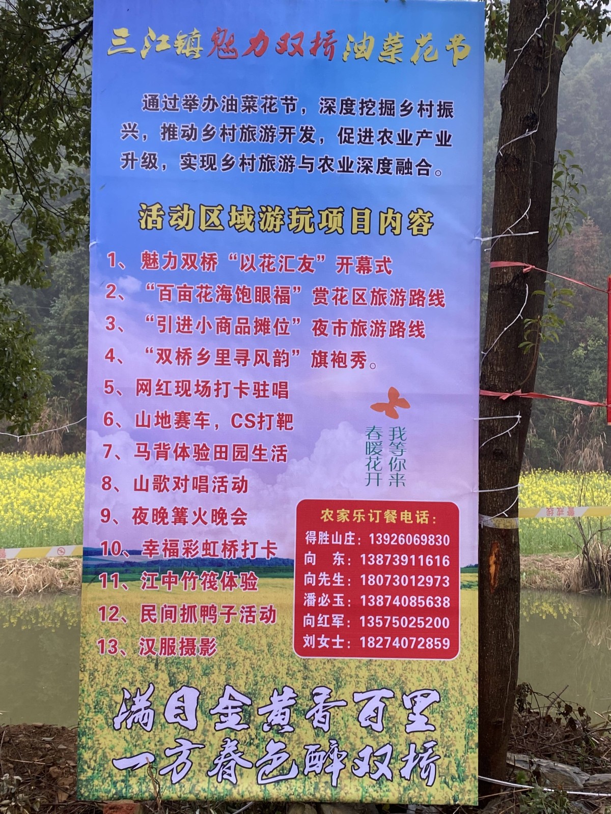 三江镇：举办油菜花节 助力庭院经济