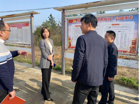 苏红琳指导古培镇杨梅铺村集体经济发展工作