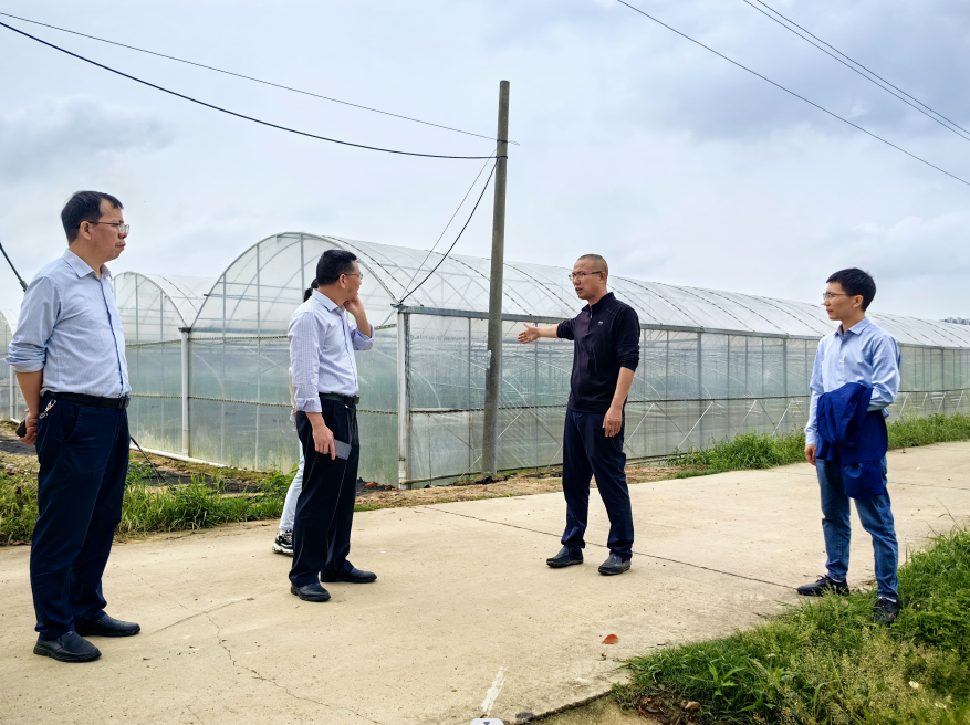 省气象科研所来汨罗调研早稻油菜生长情况