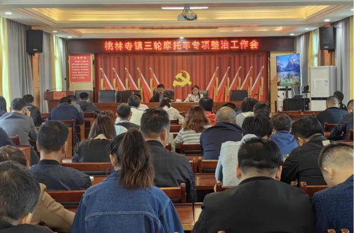 桃林寺镇：交通安全记心间，“一盔一带”保平安