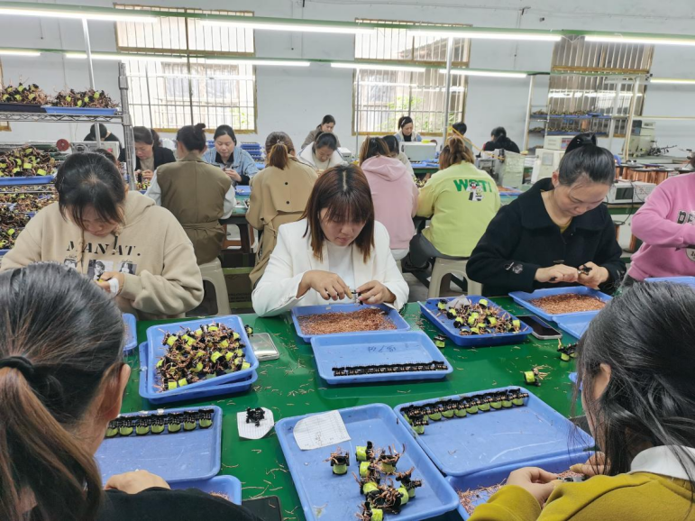 神鼎山镇：“归雁”返乡创业，助力民生促就业
