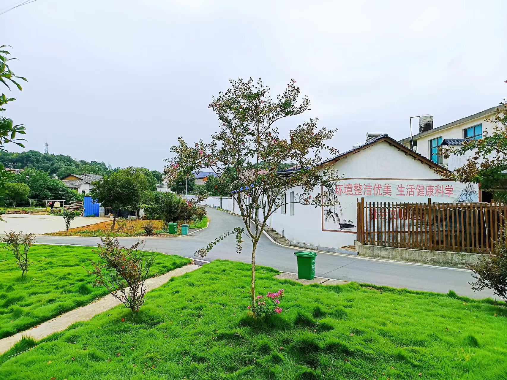 共创文明城｜汨罗九雁村：村规民约引领移风易俗，文明新风浸润乡村