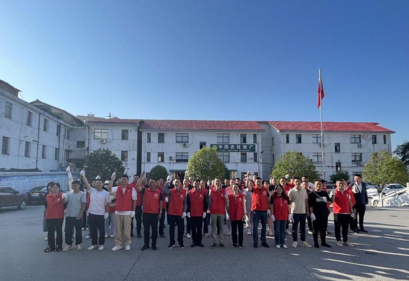 神鼎山镇：清除“牛皮癣”，守护集镇“颜值”