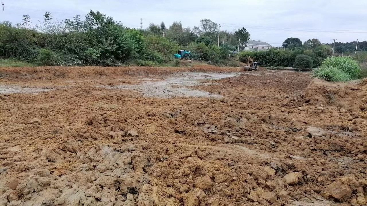 罗江镇：鱼塘回填变良田，耕地保护入人心