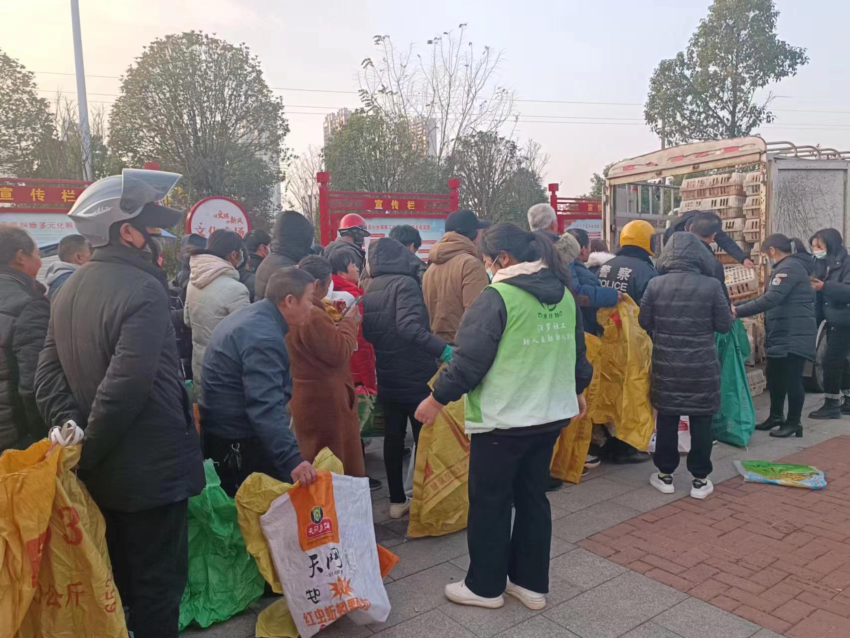 归义镇百丈口社区： 免费发放鸡苗助残增收
