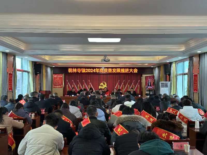 桃林寺镇：全力拼经济 共抓大发展 努力争一流