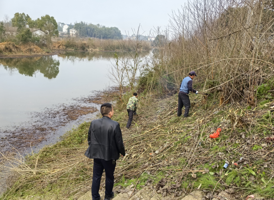 汨罗镇：开展河湖岸线环境整治 打造水清岸绿景美水环境