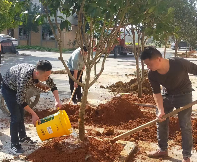 汨罗镇夹城村：党员带头当先锋  植树添绿作表率