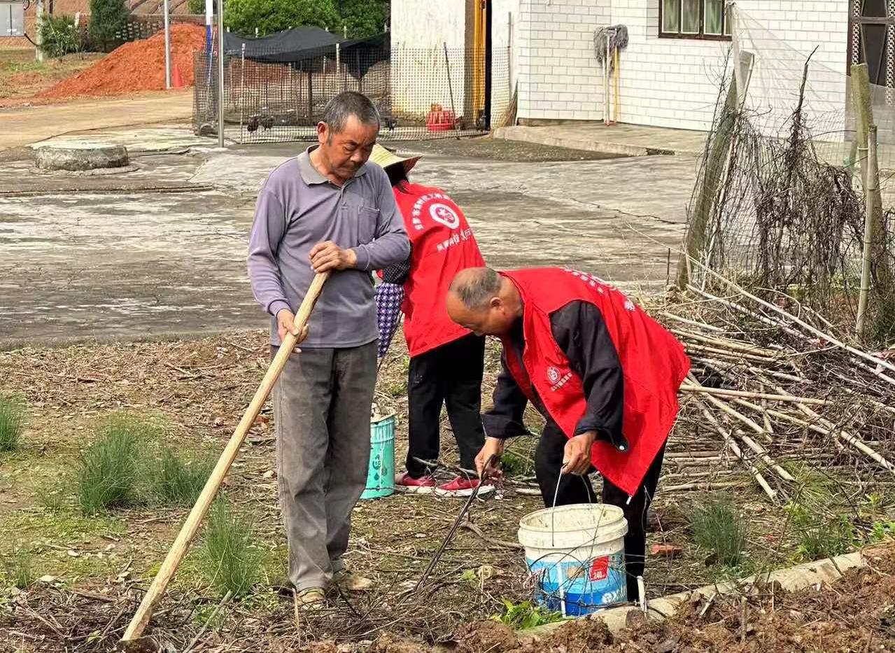 提升村居颜值，桃林寺镇开展村庄清洁行动