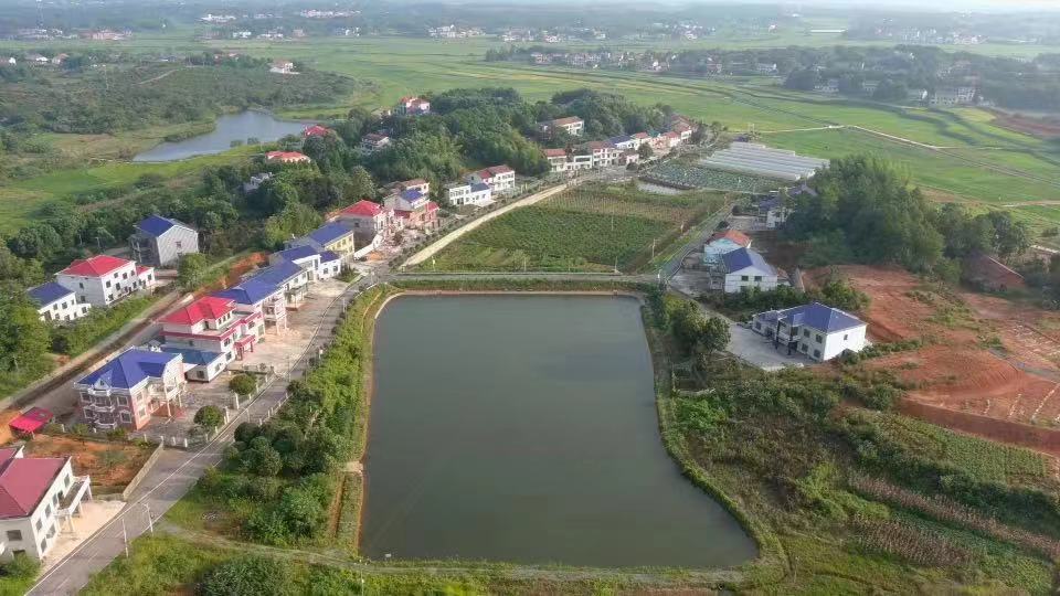 桃林寺镇高丰村：聚焦民生实事，打造宜居宜业和美乡村
