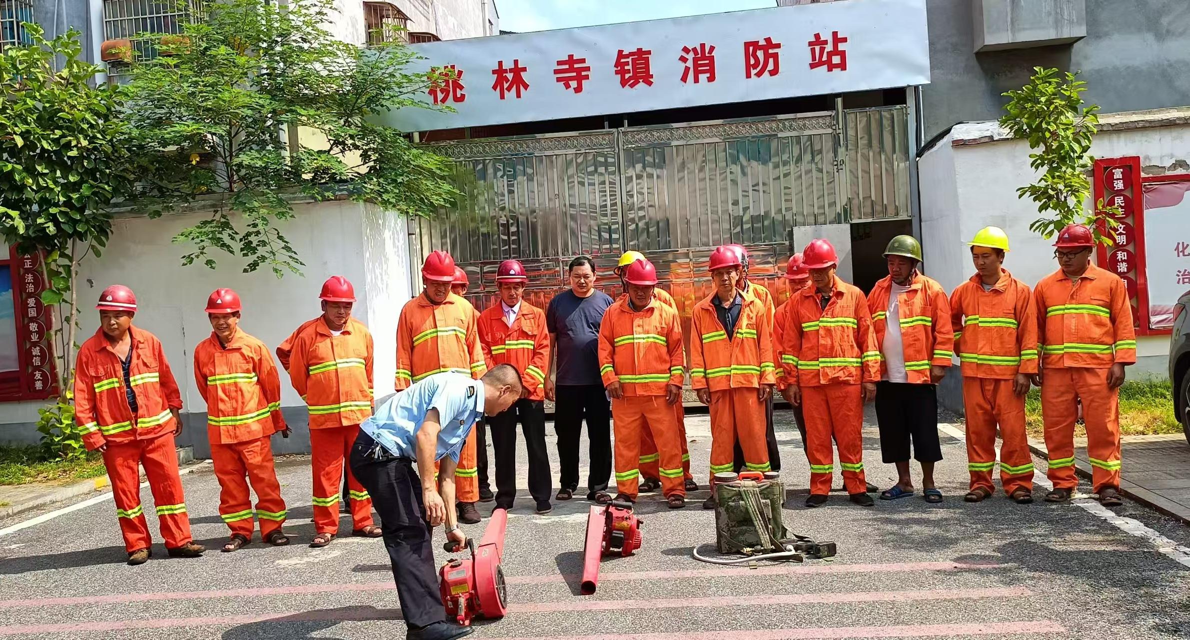 桃林寺镇：全力落实“131”机制 打好森林防灭火“组合拳”