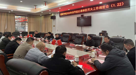 桃林寺镇：森林防火不松懈，守护平安迎春节