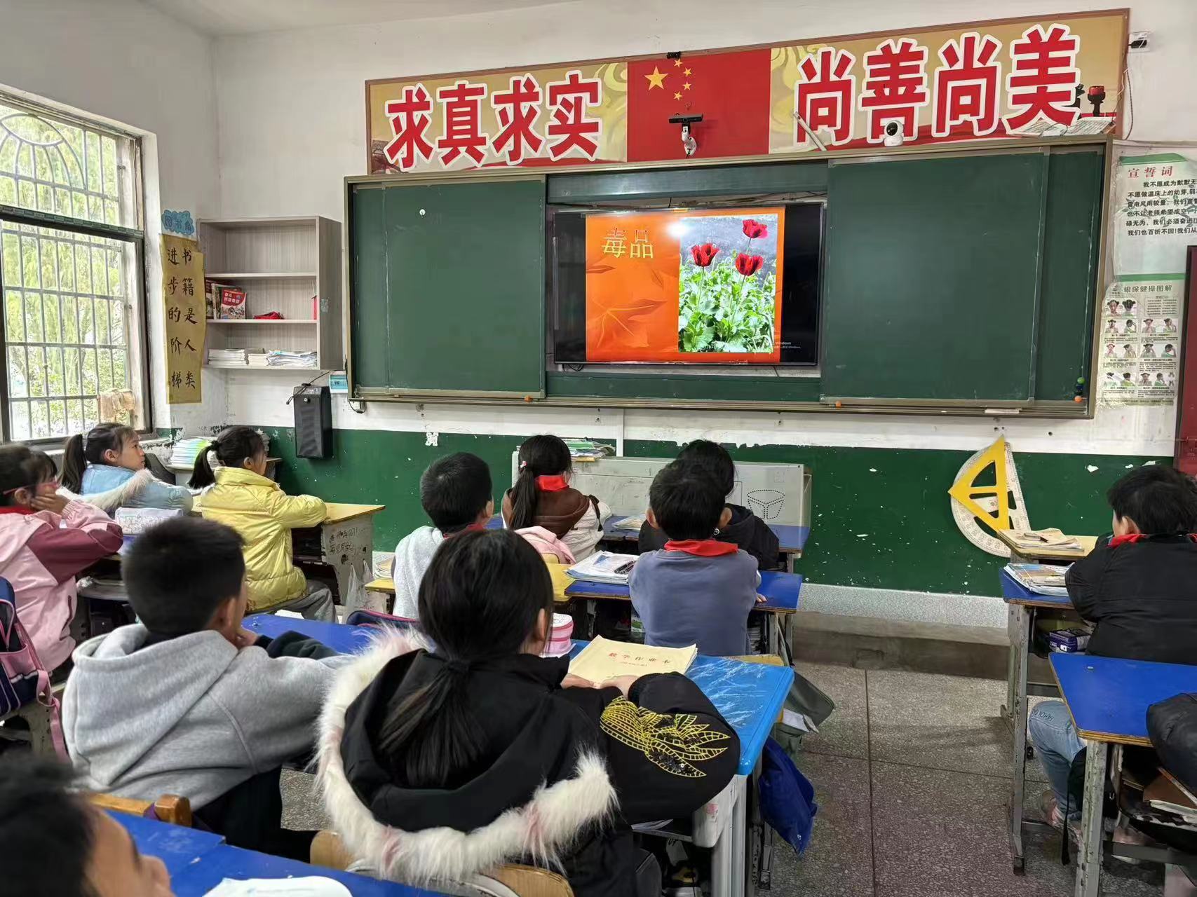 桃林寺镇：新春开学第一课，禁毒宣传护平安