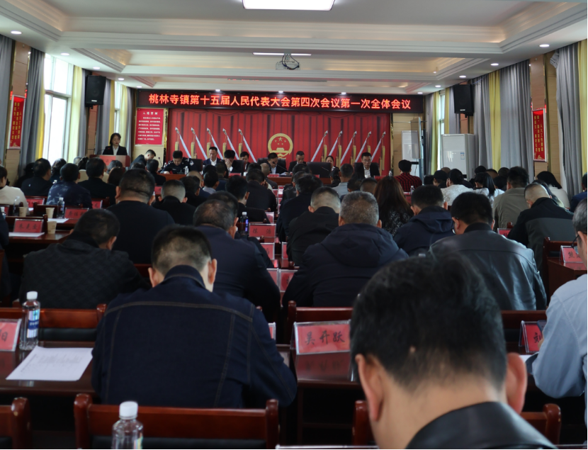 桃林寺镇第十五届人民代表大会第四次会议召开