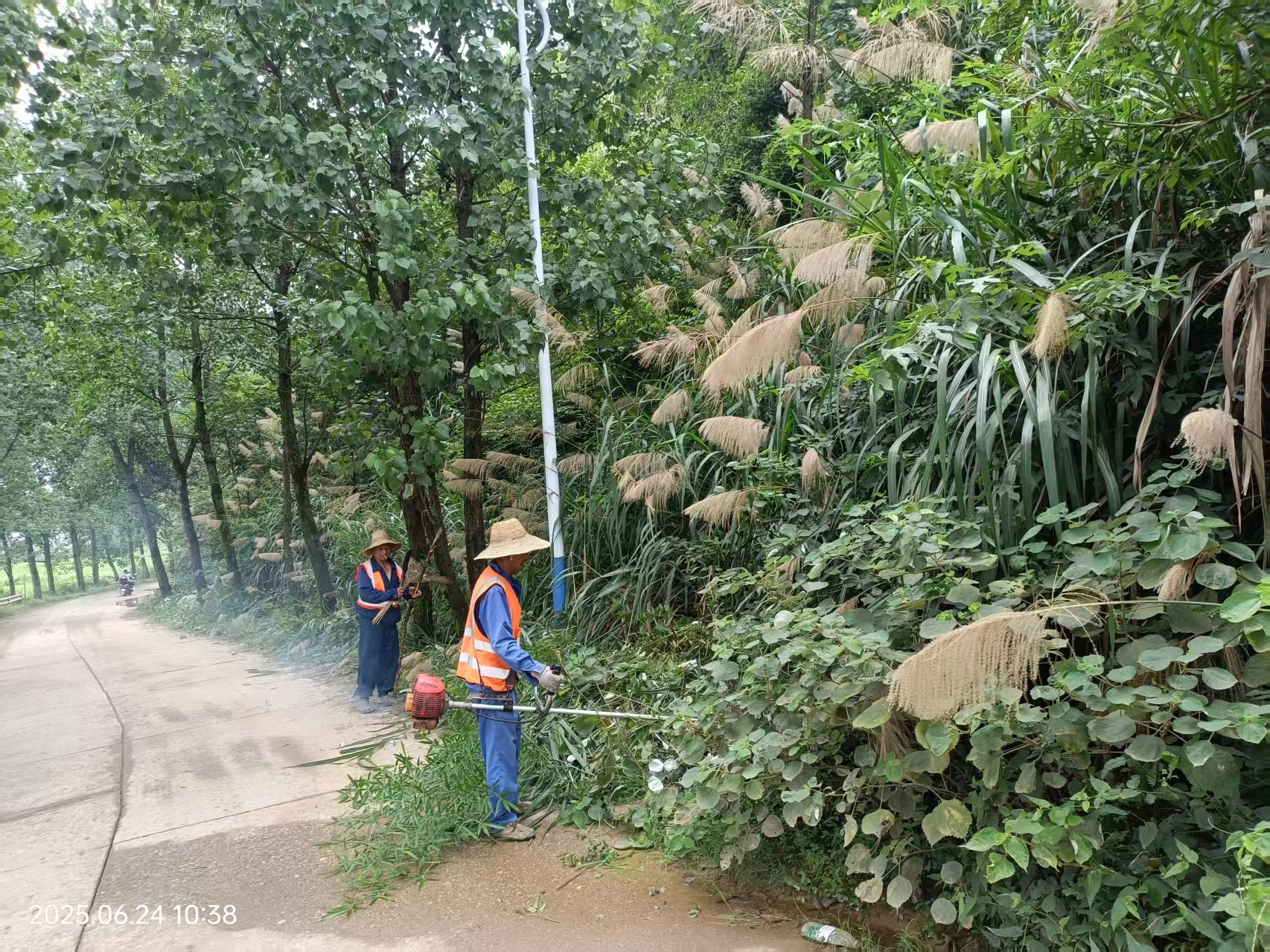 三江镇：环境整治出实招 乡村面貌焕新颜