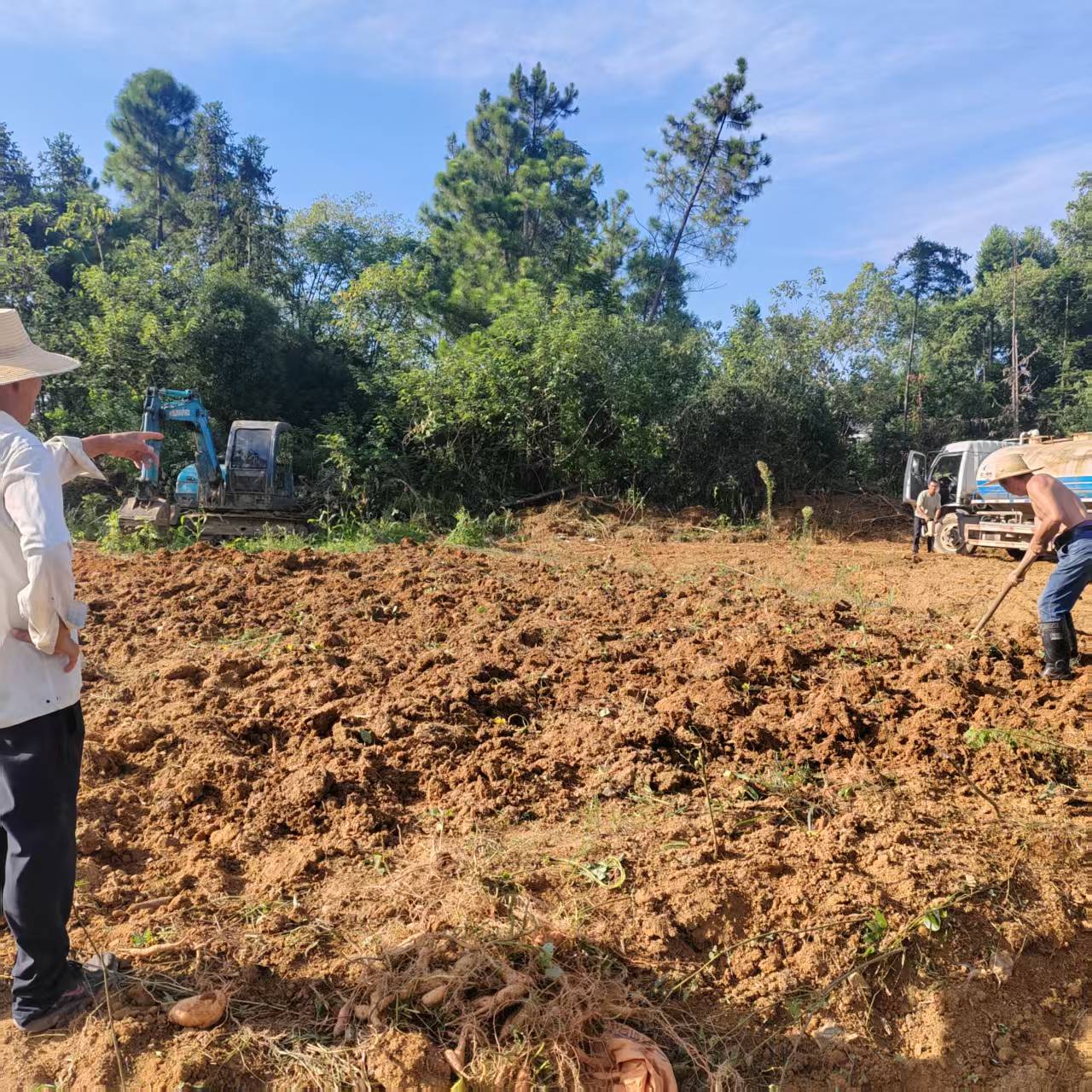 学来 “金点子” 种出 “新产业”！神鼎山镇先锋社区抛荒地变身藠头试验田