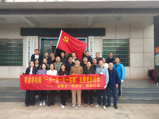 汨罗市农业农村局：党员干部齐上阵，清除“生态杀手”护家园