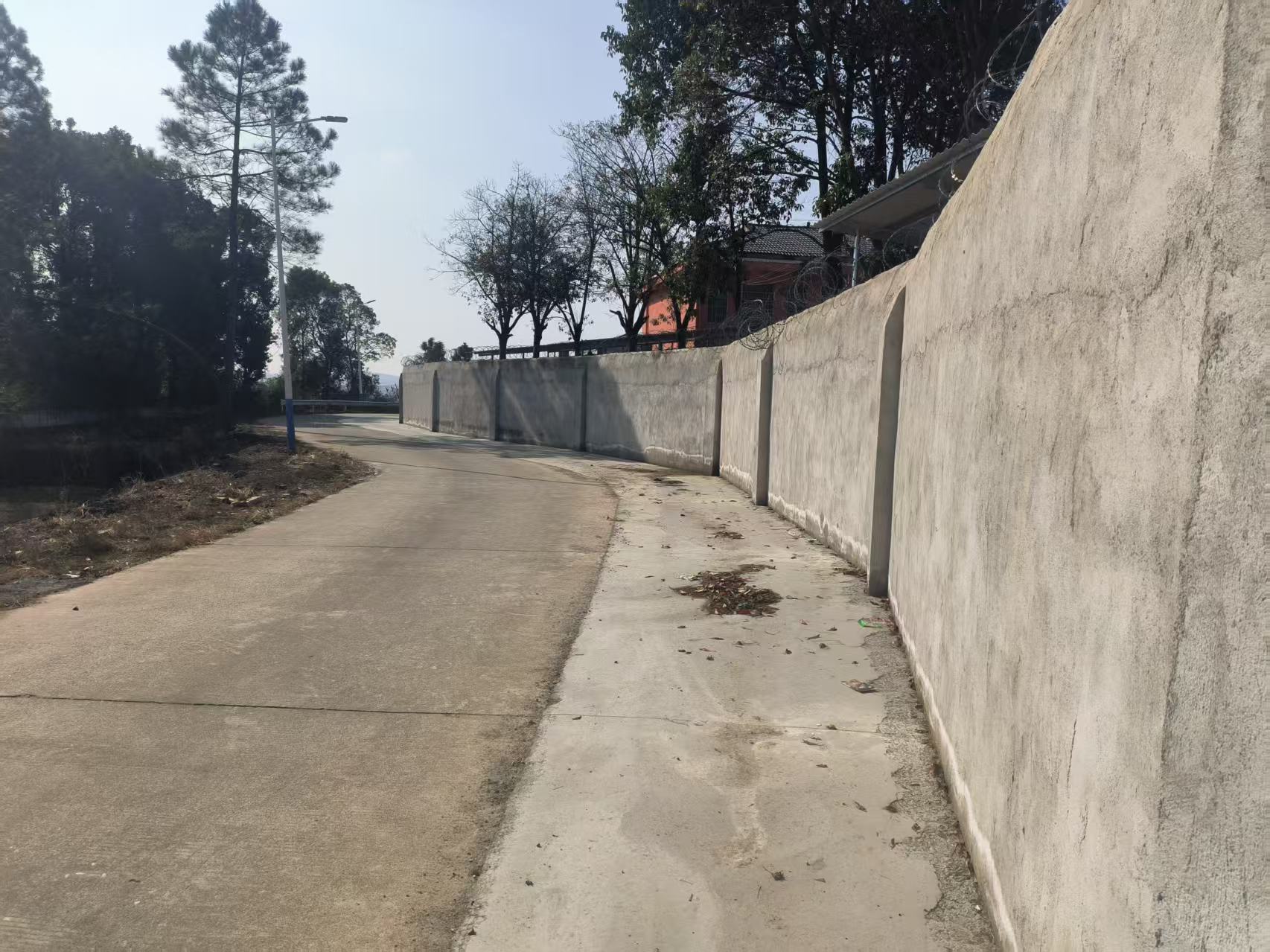 汨罗三江镇：“烦心坎”变“平坦道”，一条路连通校村心