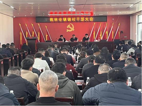 工作部署+业务培训 桃林寺镇为新一年发展蓄势赋能