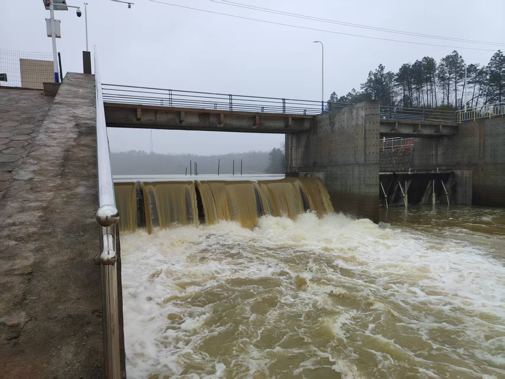 应对“超长待机”阴雨天，白塘镇这样“排兵布阵”