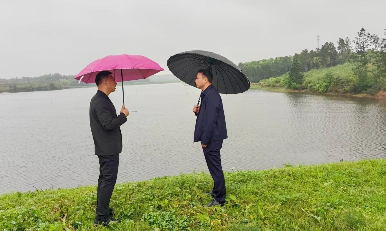 胥著华到罗江镇调研督导防汛备汛工作