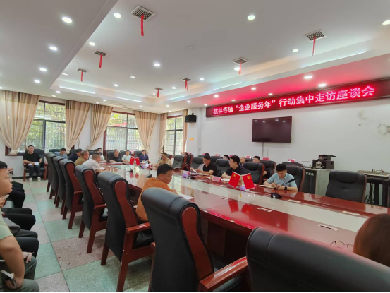 汨罗市“企业服务年”集中走访活动走进桃林寺镇