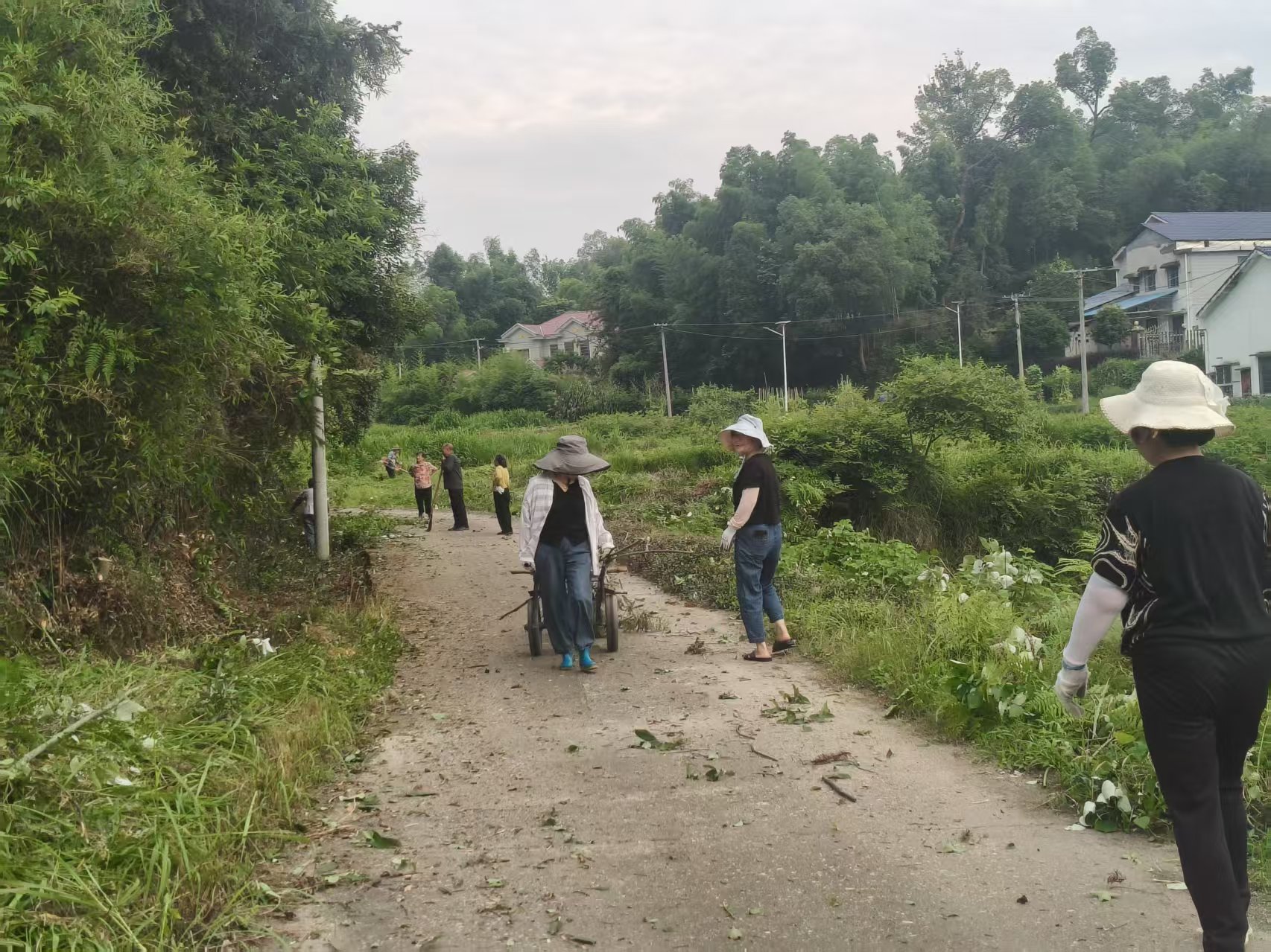 弼时镇南龙村：家门口的路“亮”了