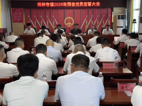 桃林寺镇21名预备党员集体宣誓，捐资8万元兴教
